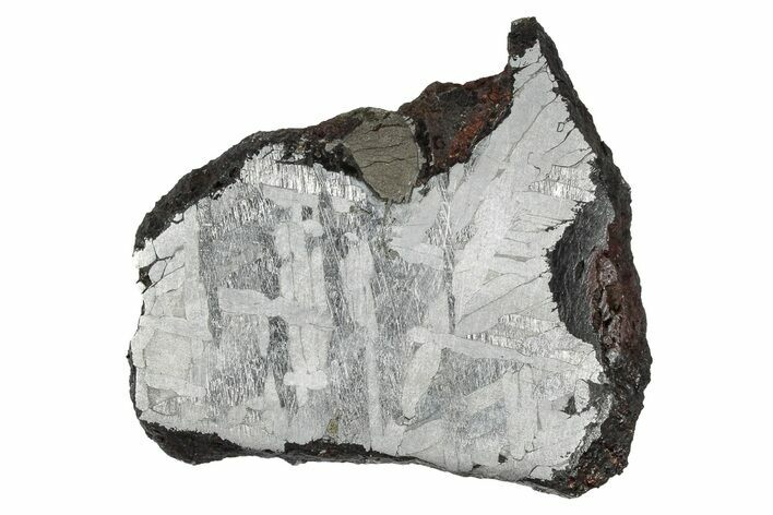 Etched Toluca Iron Meteorite ( g) Slice - Mexico #333192